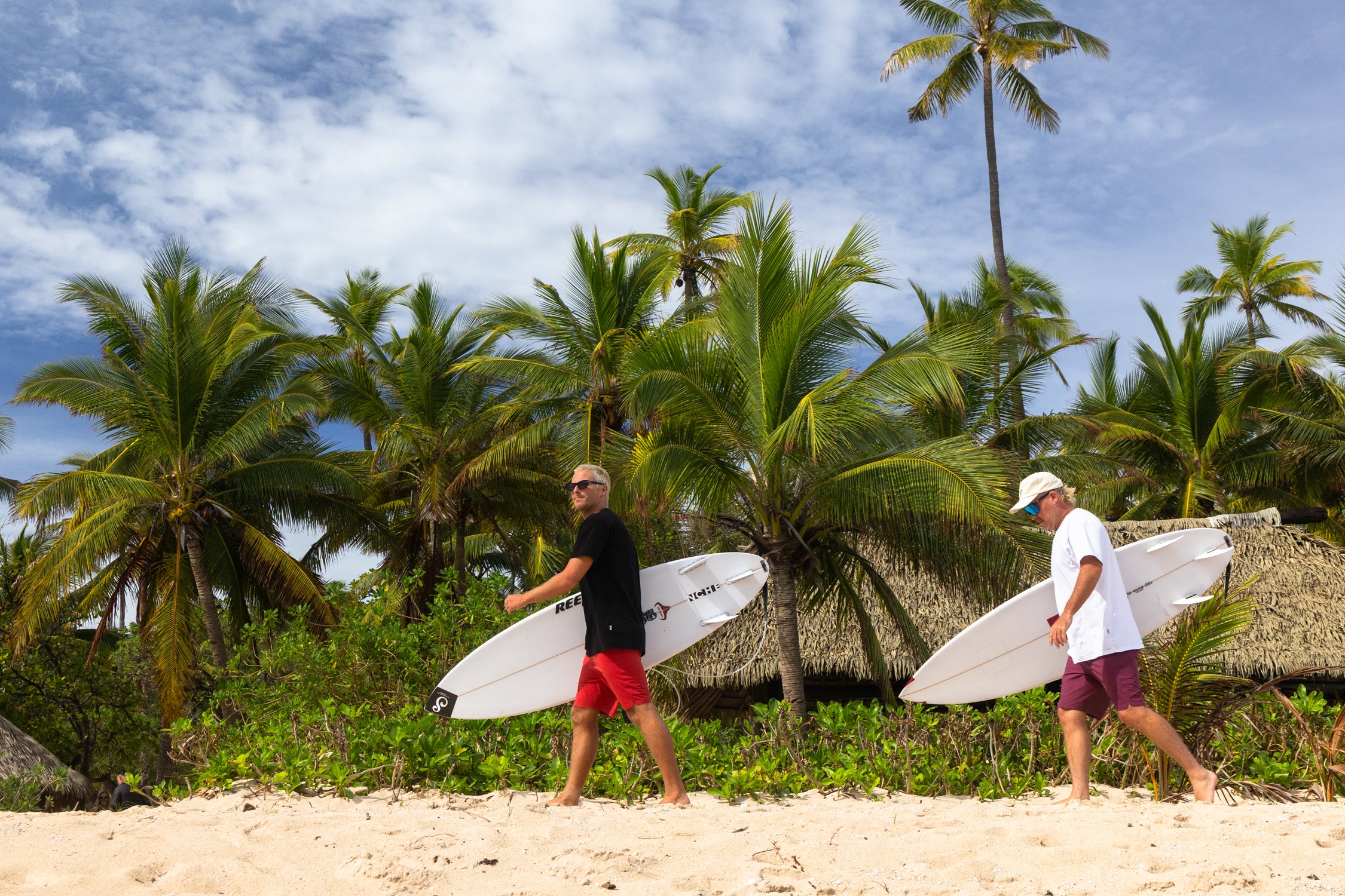 Two surfers walking on a beach with palm trees in the background