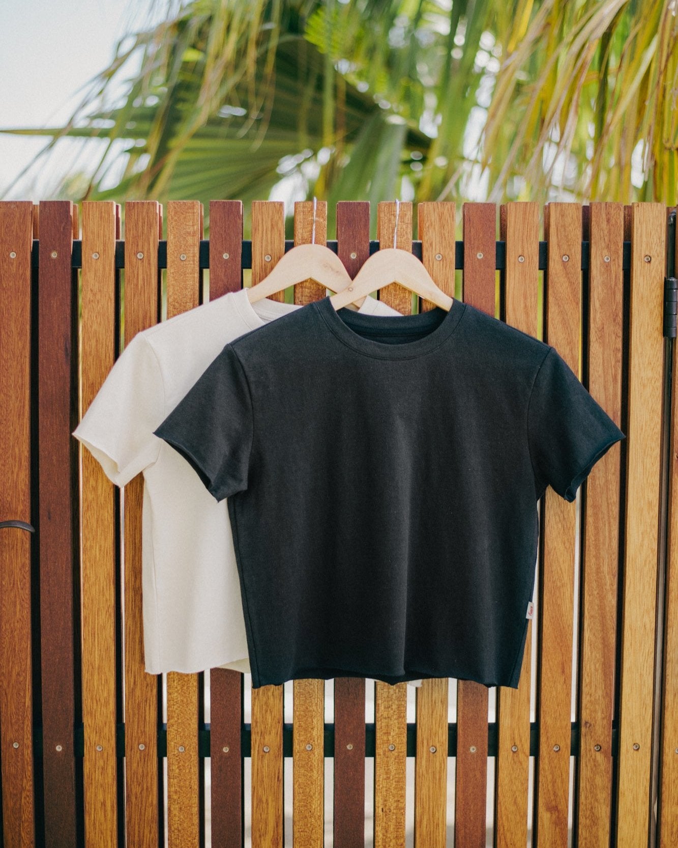 Ella Crop Tee Black Tees The Sauce Basics