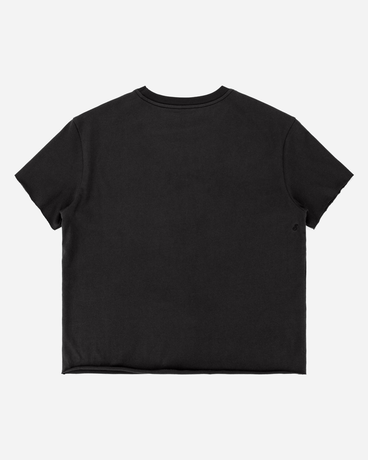 A black short-sleeve crewneck t-shirt shown from the back, laid flat against a light gray background.