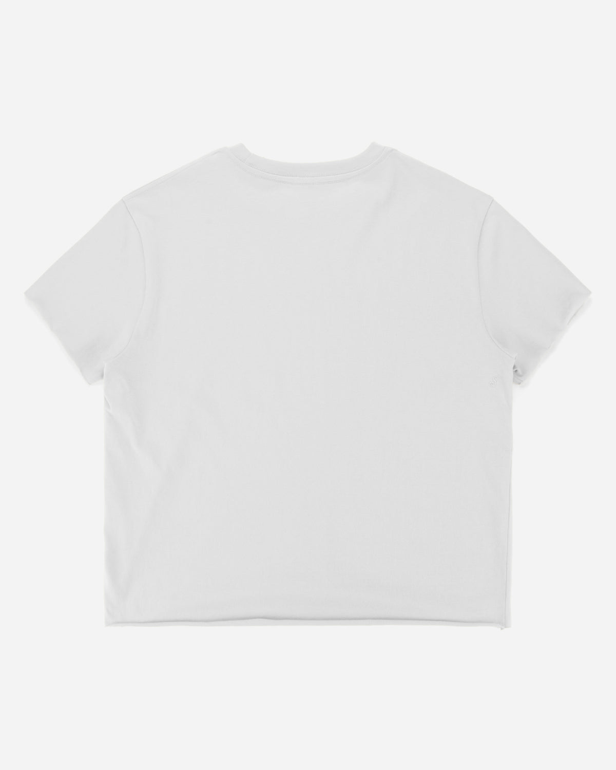 A plain white short-sleeve crewneck t-shirt shown from the back, laid flat against a light gray background.