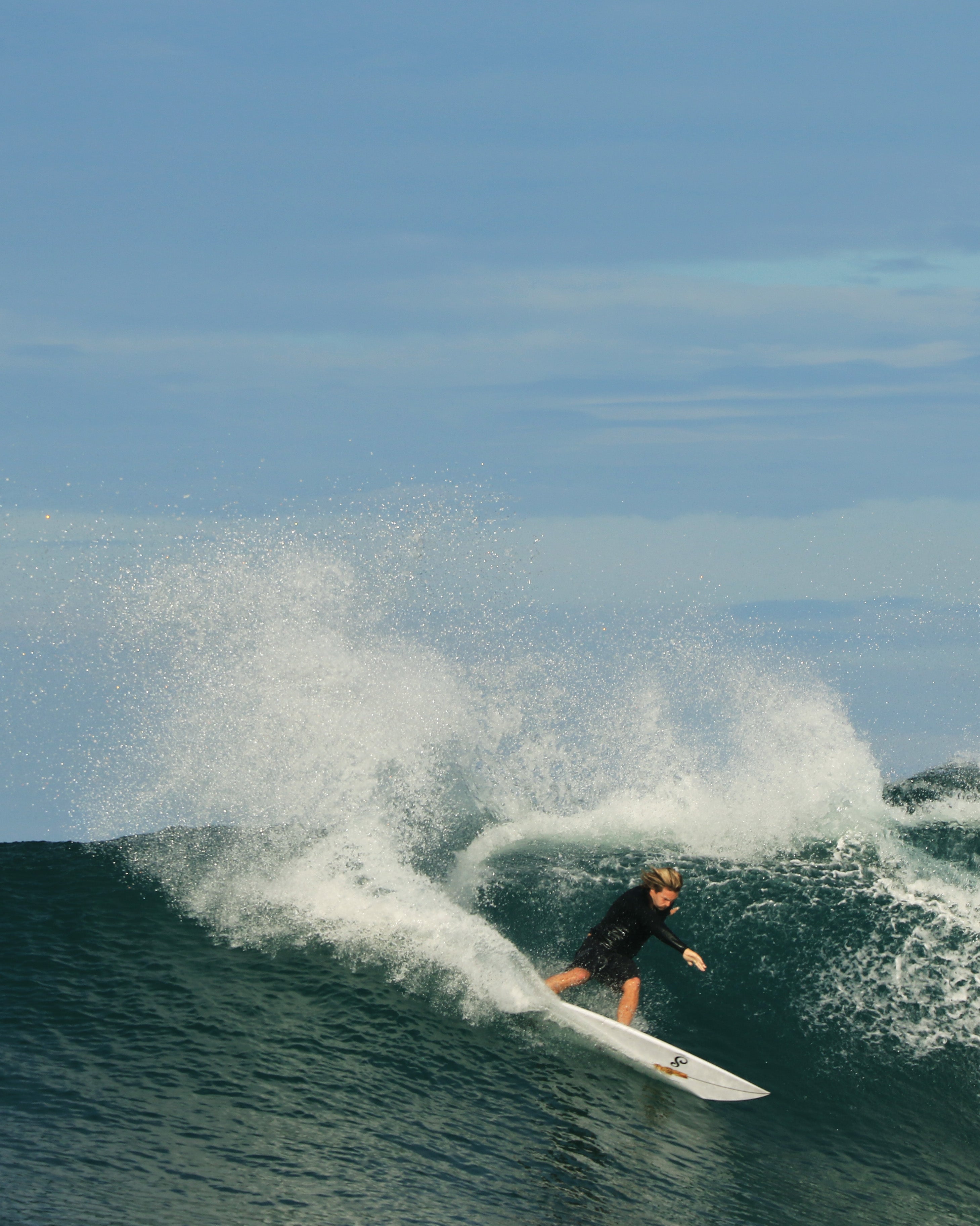 Premium Surf Trunk Trunks The Sauce Basics