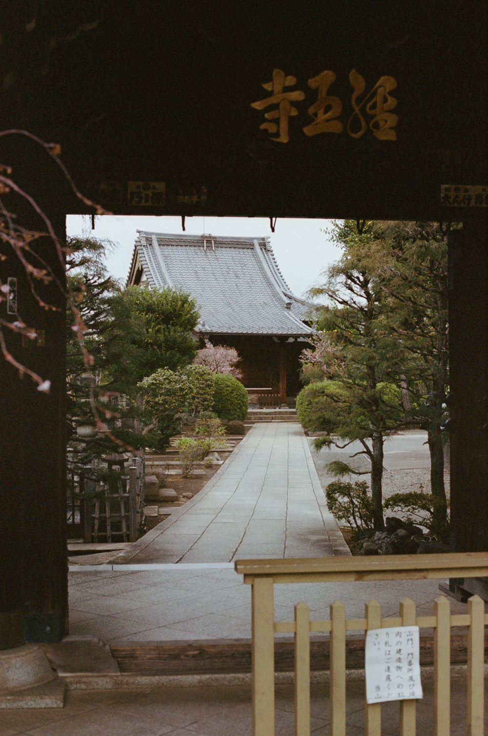 Traditional Japanese temple entrance with a pathway and trees