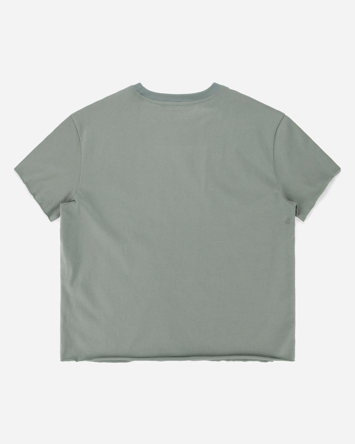 A sage green short-sleeve crewneck t-shirt shown from the back, laid flat against a light gray background.